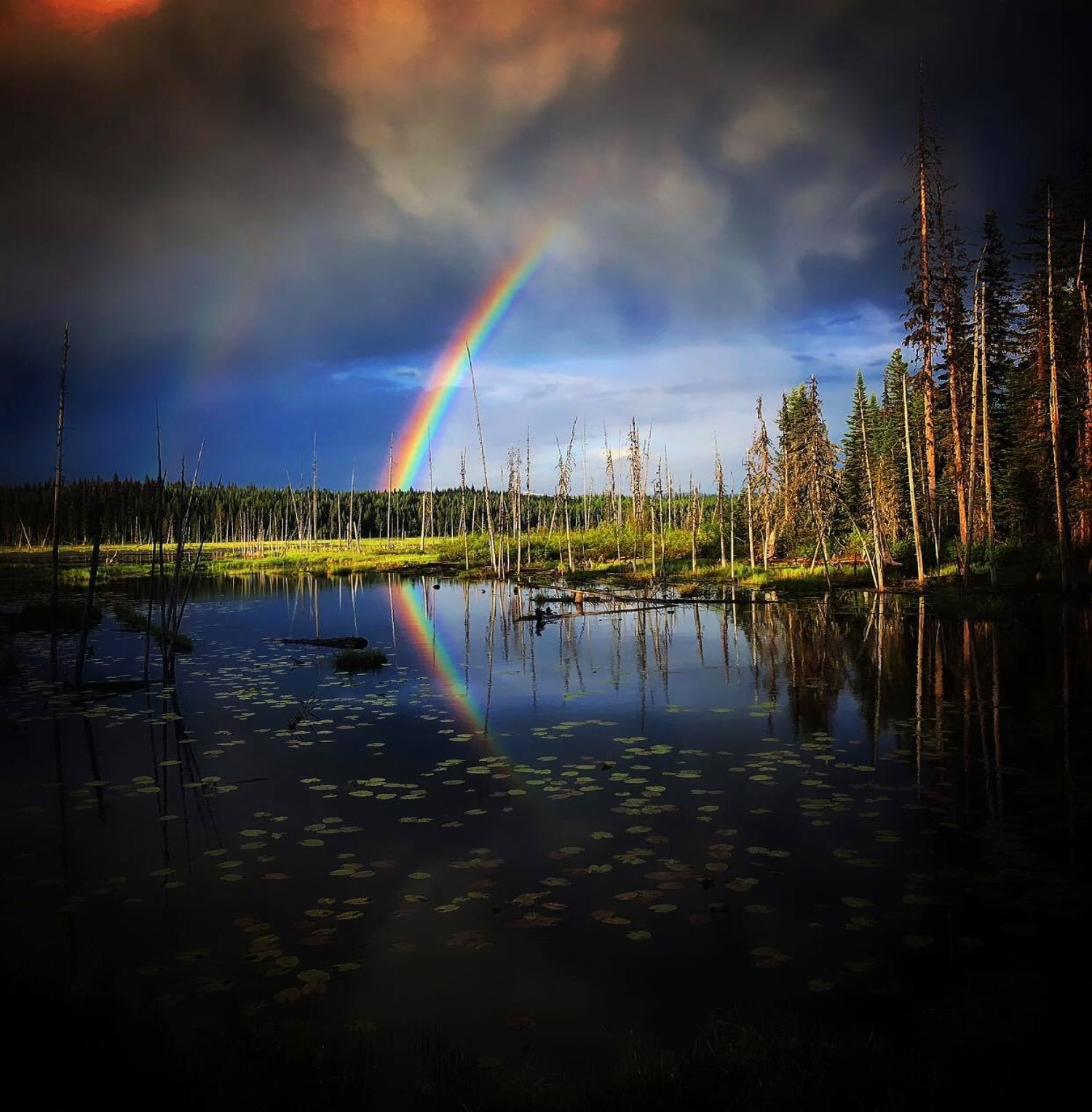 Full Transaction Management