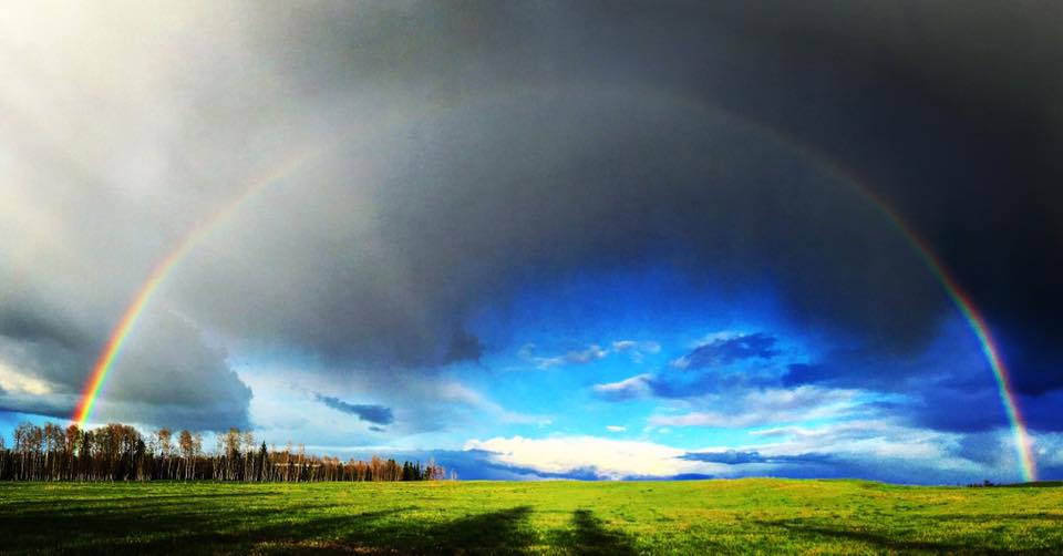 Seamless Transaction Management