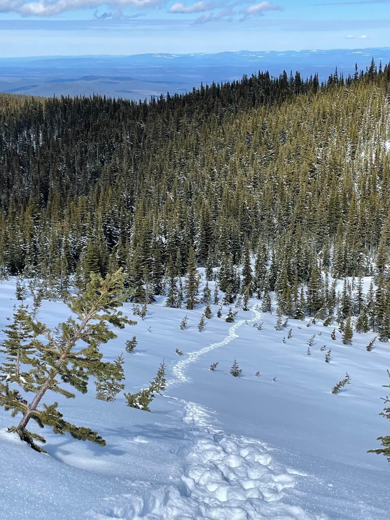 Access to the Best Listings