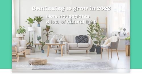 1669224565_AA3aVZPNl4w6RoIUA8o0k