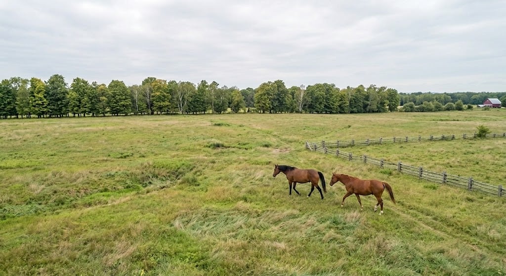 Long-Term Land Value