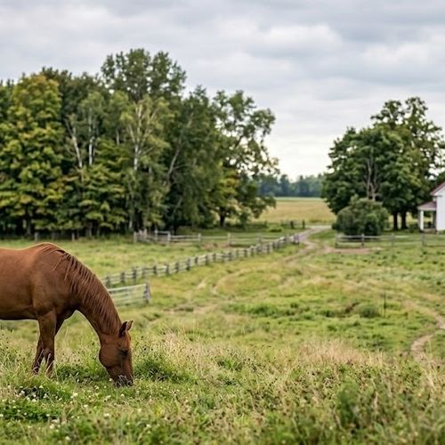 Acreage for Sale Near Kemptville in North Grenville