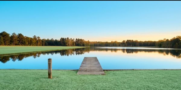 Shoreline Road Allowance Ontario: Waterfront Buyer Guide