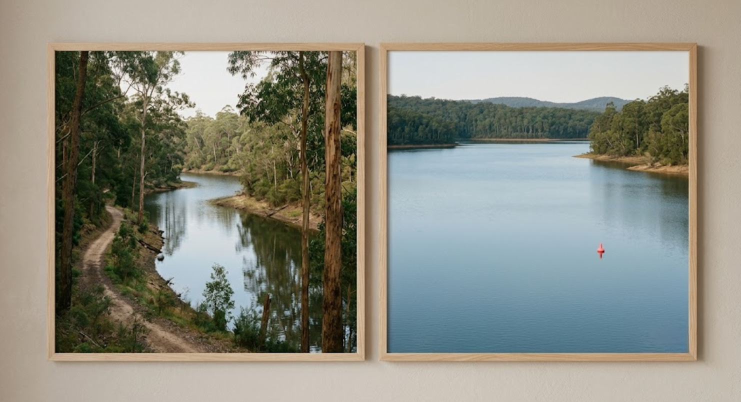 shoreline-road-allowance-two-rivers