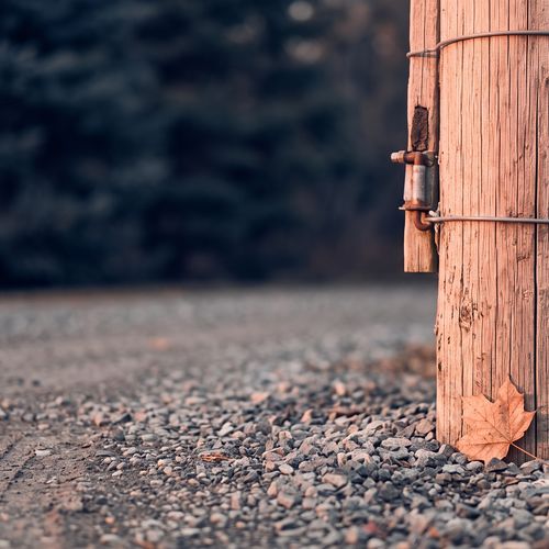 Accepted Offer in Ontario: The Conditional Period Explained