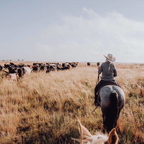 Ranch vs. Ranchette
