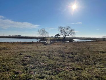 199 El Campo 01.08 (17)