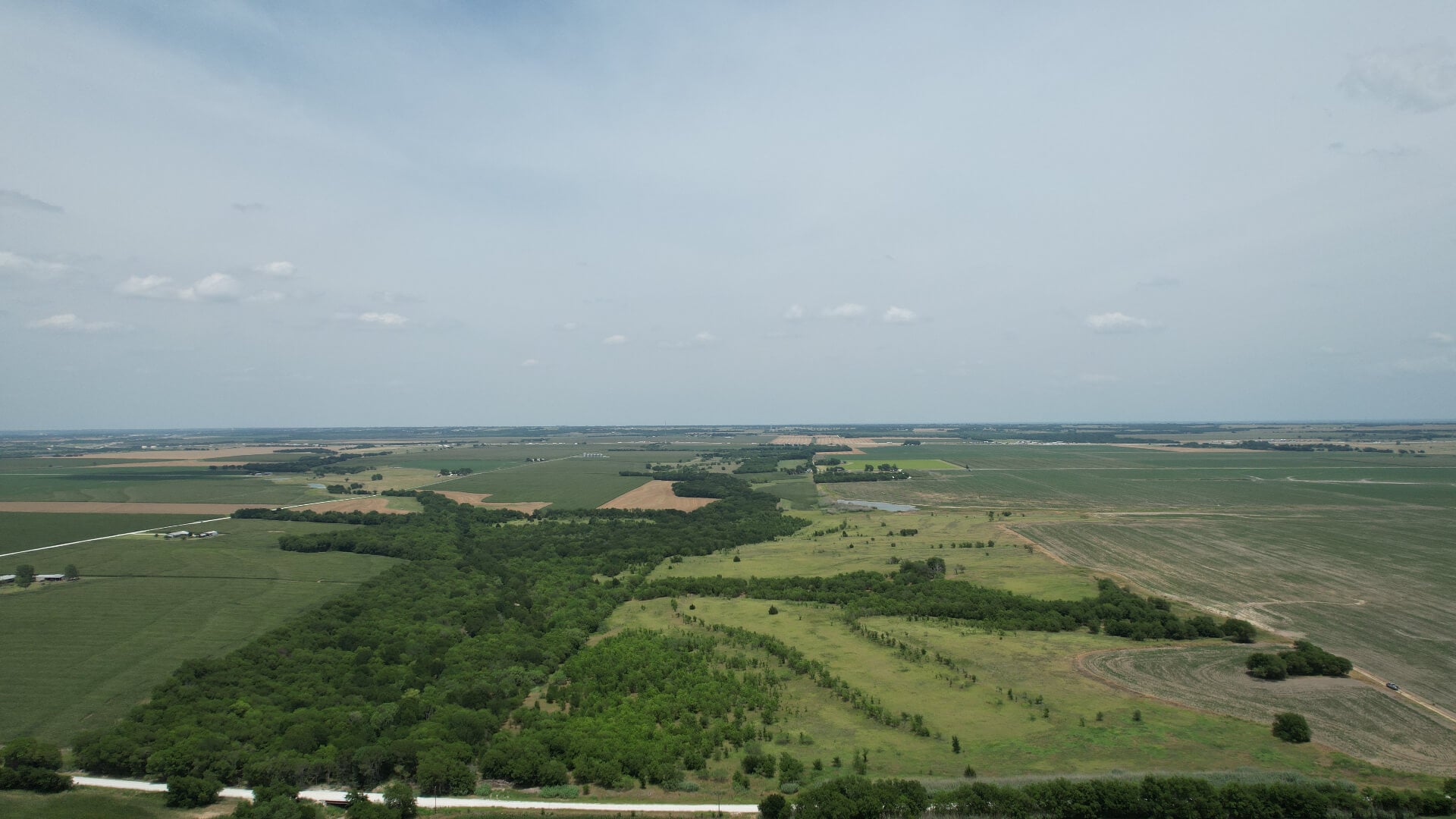 Abbott - cover photo