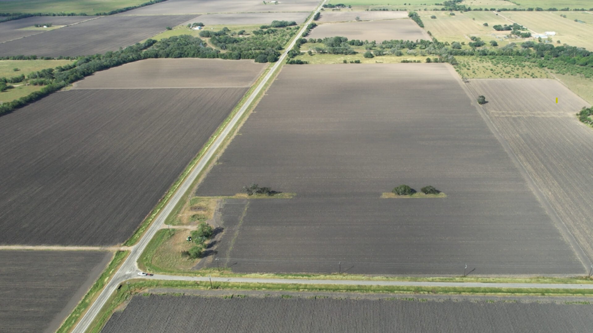 El Campo 78 - cover photo