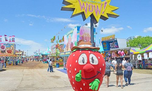 A Complete Guide to the Poteet Strawberry&hellip;