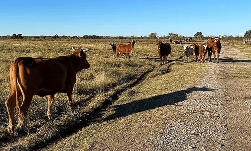 How To Start A Farm in Texas: The Complete&hellip;