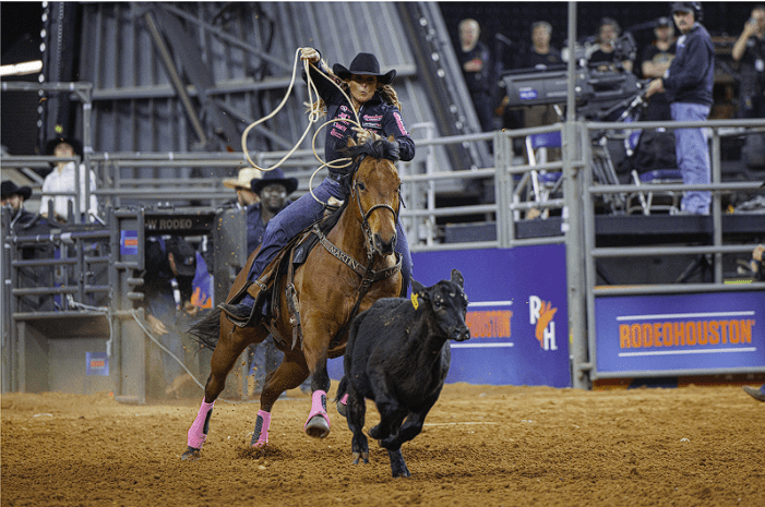 Screenshot-2025-04-28-223120 (Houston Livestock Show and Rodeo Ultimate Guide)