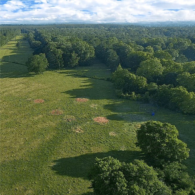 Screenshot-2025-05-01-224200 (Why Buy Land In Texas? Insights From a Texas Land Expert 2025)