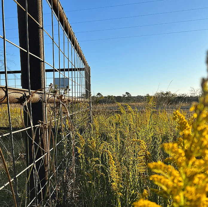 Screenshot-2025-07-14-211730 (How Much Is a Ranch in Texas? 2025)