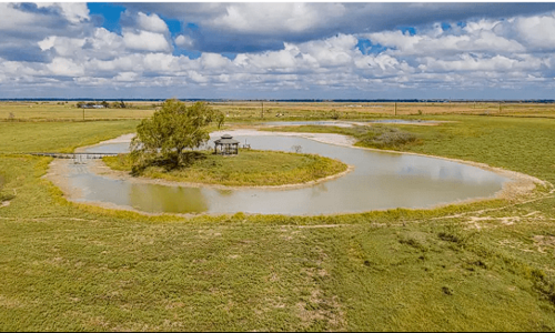 How Much Is a Ranch in Texas? [2025]