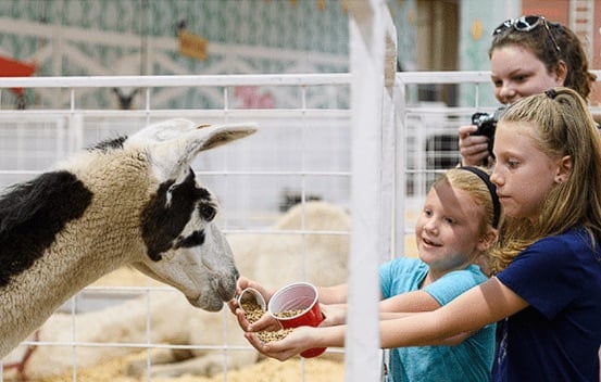 Screenshot-2025-07-22-215241