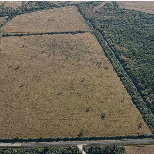 A Guide to Unrestricted Land For Sale in Texas