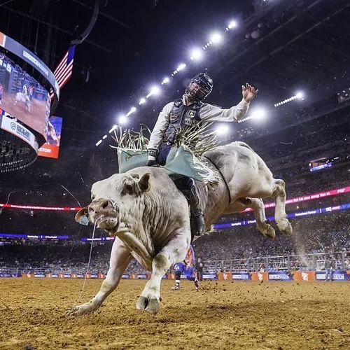 Houston Livestock Show and Rodeo Ultimate Guide
