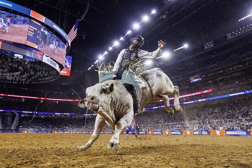 phpThumb_generated_thumbnail-51-1 (Houston Livestock Show and Rodeo Ultimate Guide)