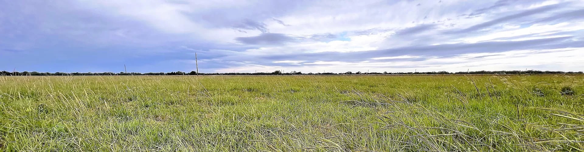 phpThumb_generated_thumbnail-60 (New Land Owner Spotlight: Minil and Terry!)