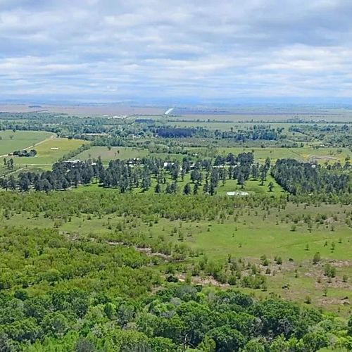 What Type of Land Holds Its Value Best in Texas? Investing in Rural vs. Urban Land