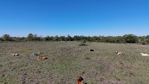 DJI_20231101130821_0028_D