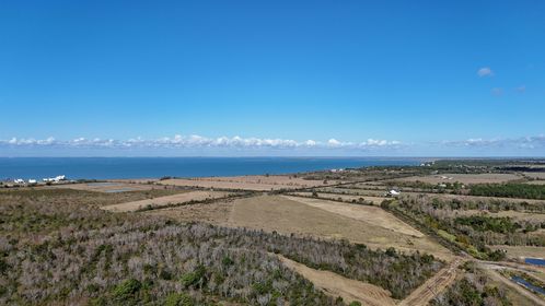 DJI_20251114101245_0005_D