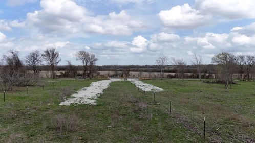 DJI_20260305123410_0013_D