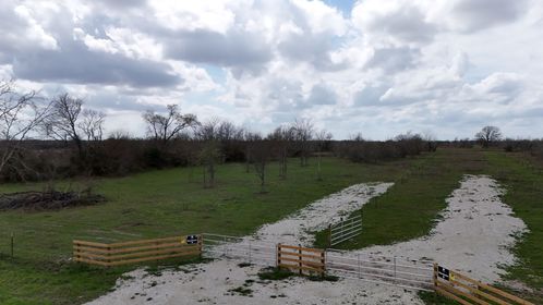 DJI_20260305123516_0016_D