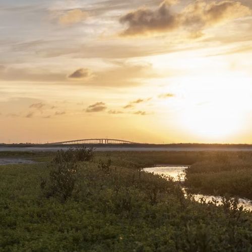 The benefits of buying land near Corpus Christi