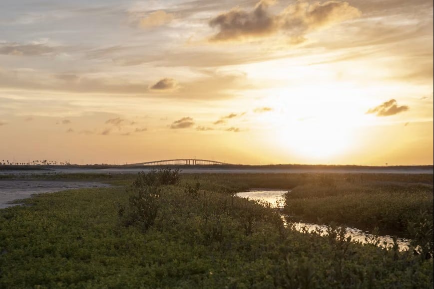 Imagery of a small body of water surrounded by greenery with a bridge in the distance