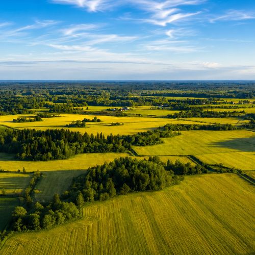 Best Places To Buy Land In Texas