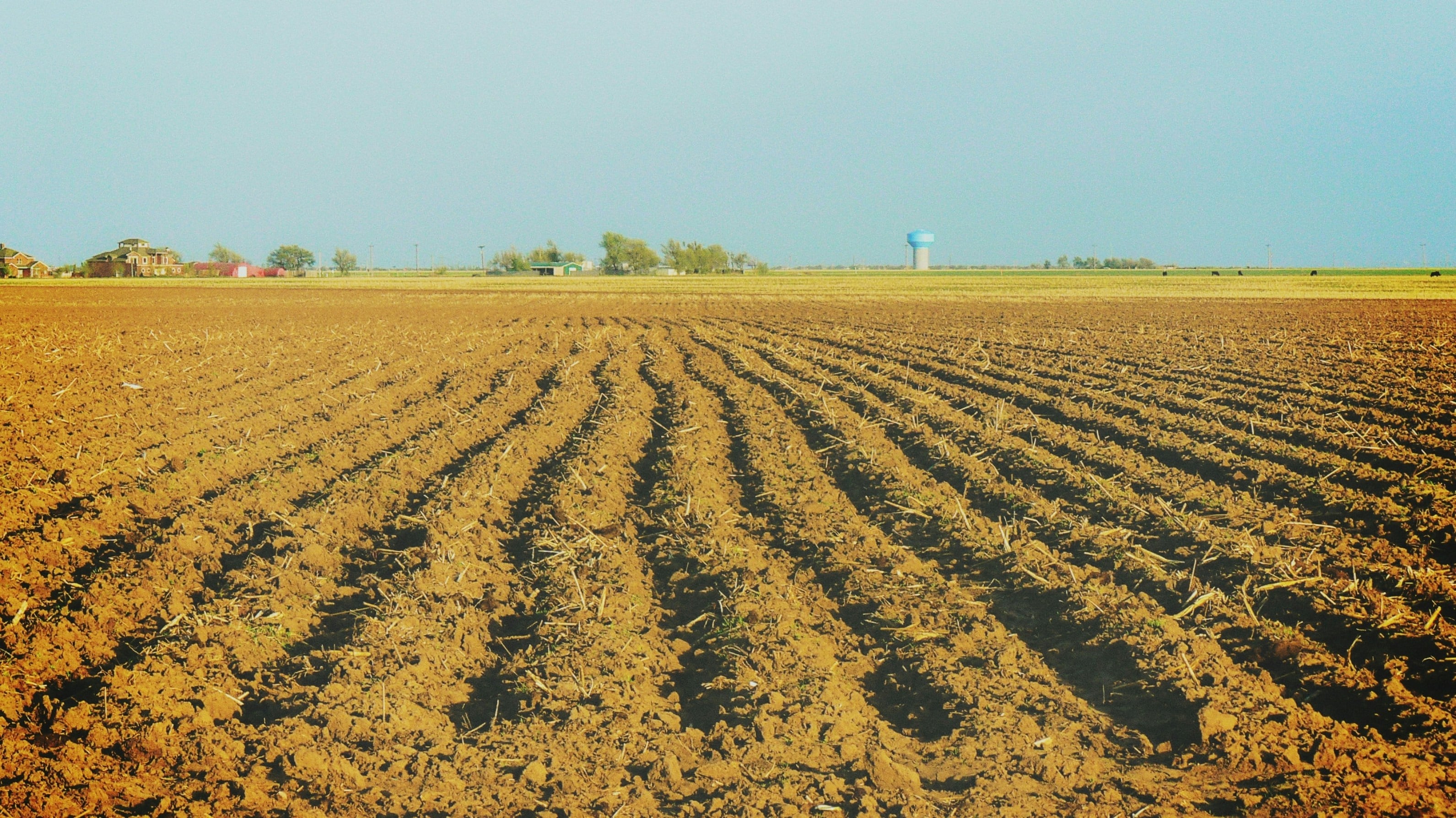 An empty field in Texas