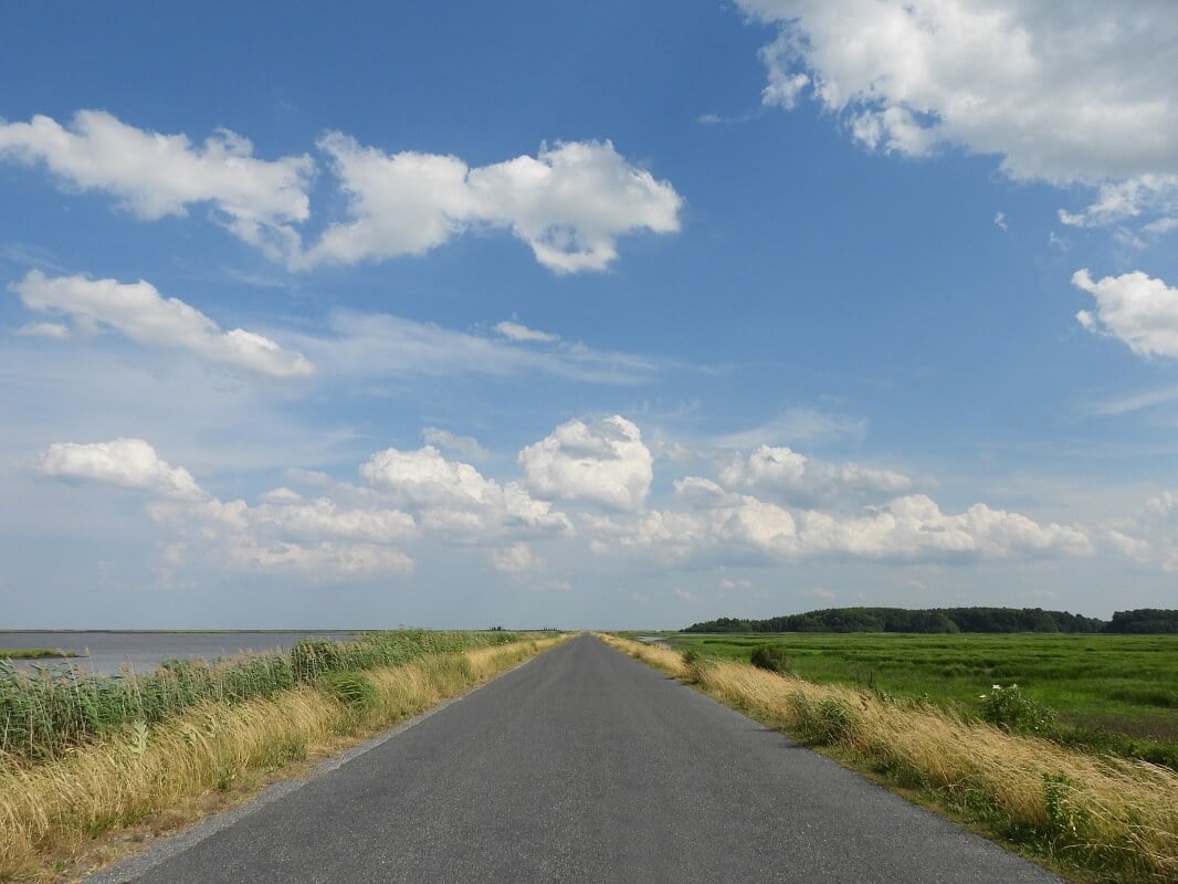 a beautiful, summertime drive through the Bombay Hook National Wildlife Refuge
