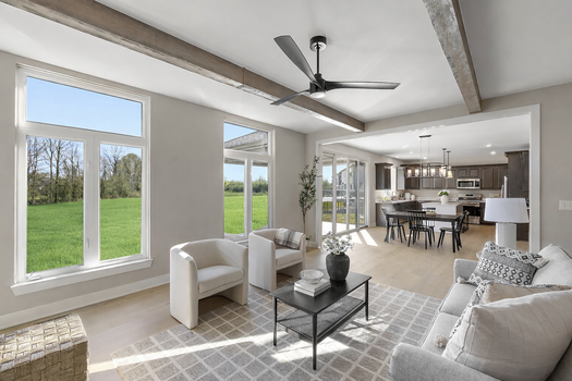 Copy of Living rm-kitchen