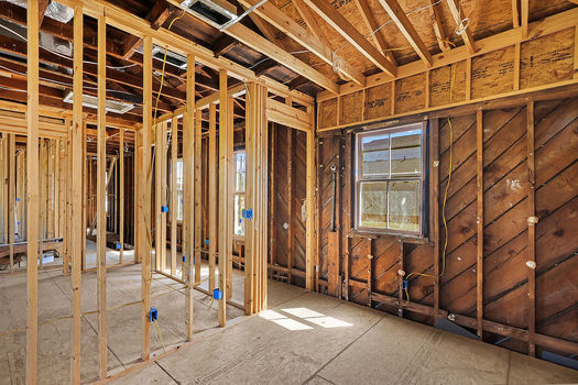 PhotoMar232026,111400AM(1)