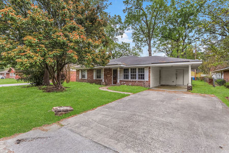 PhotoMar252026,92334AM