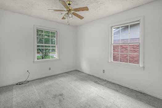 PhotoMar252026,93503AM(2)