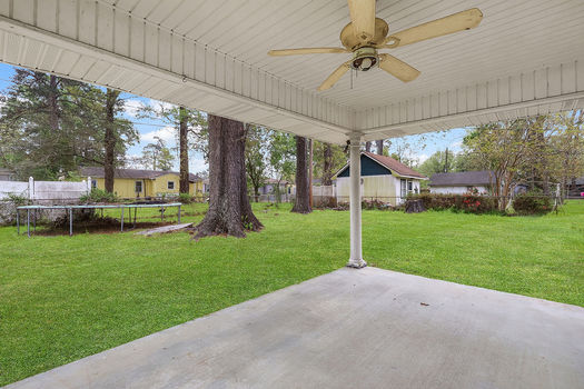 PhotoMar252026,94249AM(1)