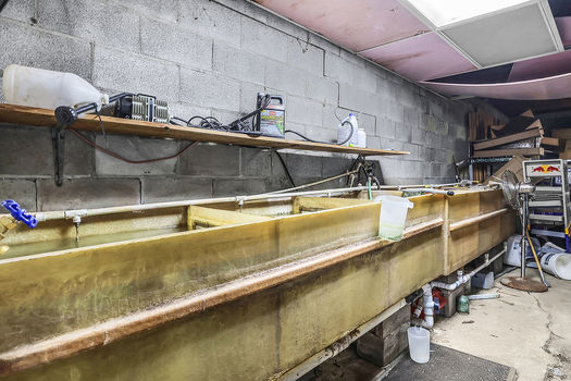 PhotoApr032026,120552PM