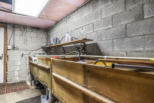 PhotoApr032026,120619PM