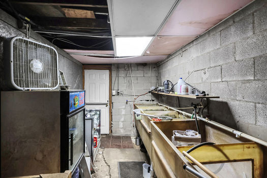 PhotoApr032026,120638PM