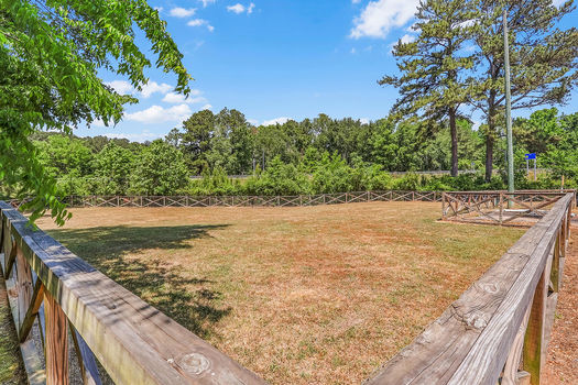 PhotoApr232026,120841PM