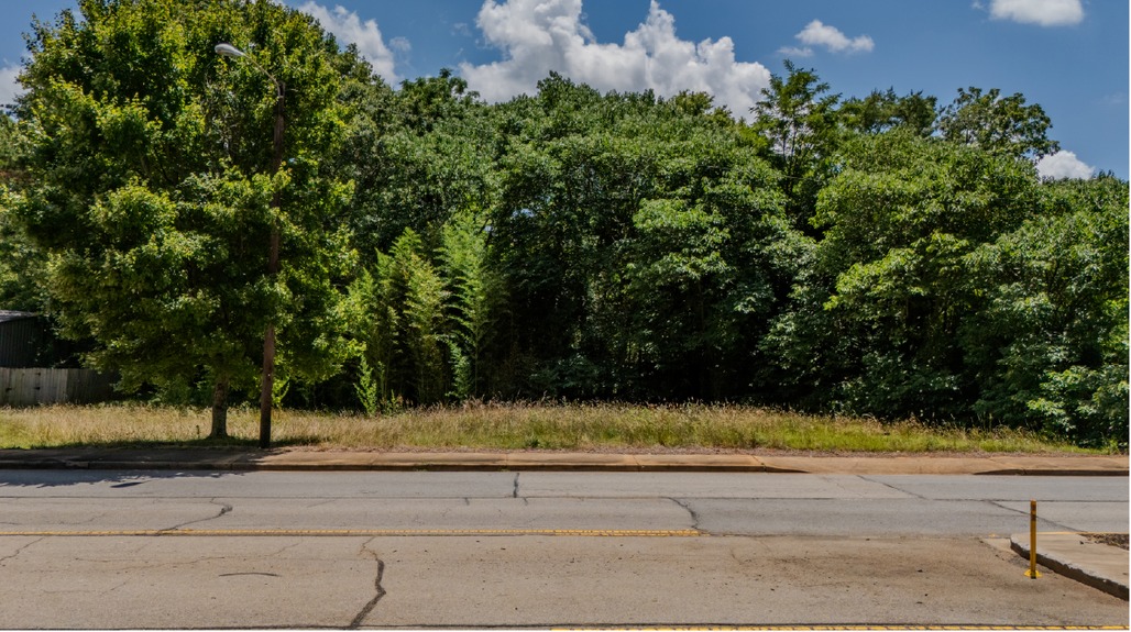 542 RUTHERFORD RD_Artboard 6