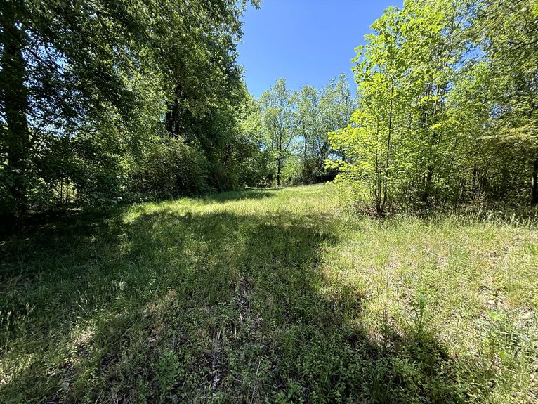 Edith Drive_Taylors-19