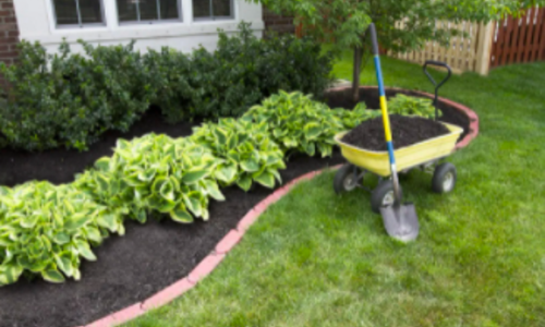 Landscaping Your New Home