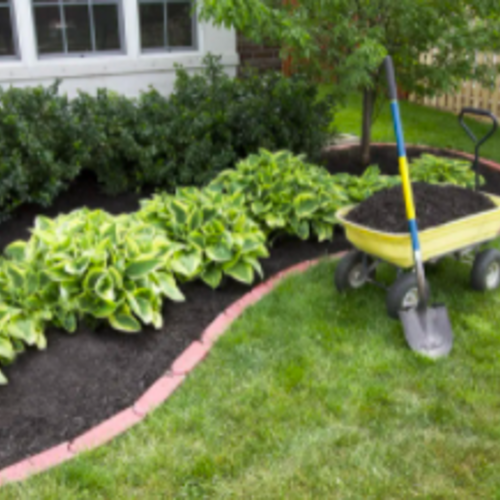 Landscaping Your New Home