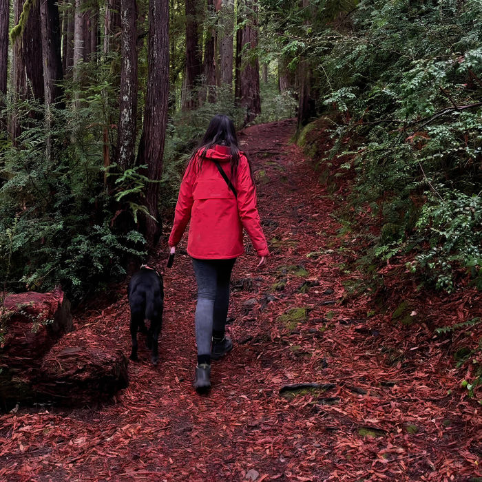 beach-loop-realty-buyers-cta(2)(1)