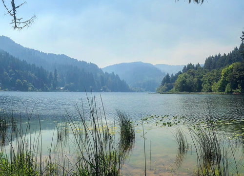 beach-loop-realty-reedsport(1)