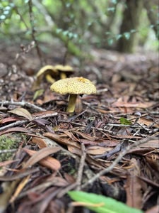 6620c7dc-fb07-44e2-b003-6626cd07eb68